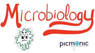 Microbiology Part 1 Introduction  Actinomyces israeli Listeria Diphtheria Nocardia  Picmonic [upl. by Acired]