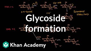 Carbohydrate  Glycoside formation hydrolysis  Chemical processes  MCAT  Khan Academy [upl. by Matthiew205]