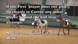 Horse Ball GB Training  Pick UP [upl. by Hephzipah]