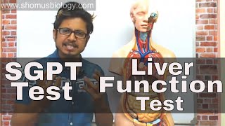 SGPT blood test in Hindi [upl. by Nilya]