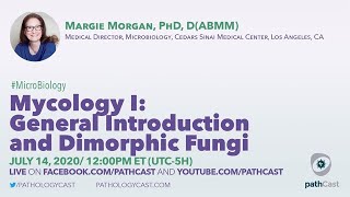 Mycology I General Introduction and Dimorphic Fungi  Dr Morgan Cedars Sinai MICROBIOLOGY [upl. by Phionna]