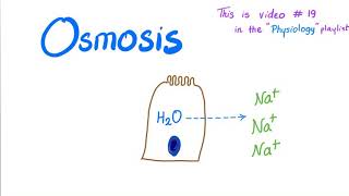 Osmosis  Physiology [upl. by Daukas782]