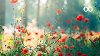 Morning Relaxing Music  Piano Music for Stress Relief and Studying Riley [upl. by Trudie756]