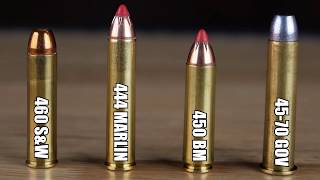 Big Bore Cartridges Compared Velocity Tests and more 460 SampW vs 444 Marlin vs 450 BM vs 4570 Govt [upl. by Harrietta]