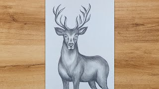 How to Draw a Deer step by step  Pencil Drawing Tutorial [upl. by Rizas]