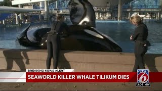 Family Who Witnessed SeaWorld Death Pleased With OSHA Report [upl. by Ahcmis]