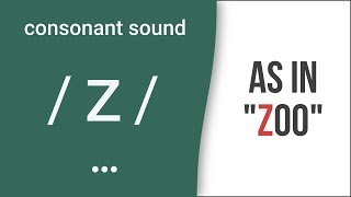 Consonant Sound  z  as in quotzooquot – American English Pronunciation [upl. by Oconnor465]