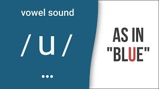 Vowel Sound  u  as in quotbluequot American English Pronunciation [upl. by Rockie]