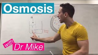 Osmosis  Membrane Transport [upl. by Atkinson281]