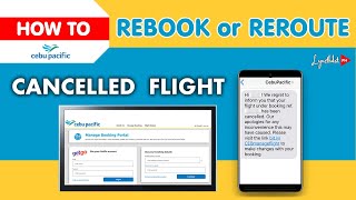 GUIDE How to REBOOK or REROUTE Cancelled Cebu Pacific Flight for FREEE Rebook Cebupacific [upl. by Eardnoed]