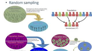 Sampling in Quantitative Research [upl. by Anibur205]