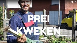 Prei kweken van zaaien tot oogsten [upl. by Greenfield268]