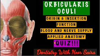 ORBICULARIS OCULI SIMPLIFIEDORIGIN INSERTION FUNCTION INNERVATION APPLIED ANATOMY [upl. by Imelida]