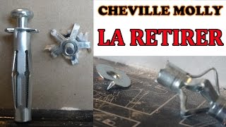 retirer une cheville molly proprement how to remove hollow wall anchors properly [upl. by Kornher]