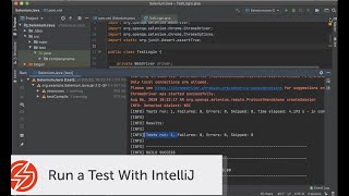 Run a Test with IntelliJ [upl. by Emogene]