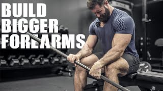 How To Build BIGGER FOREARMS 6 INTENSE EXERCISES [upl. by Bundy108]