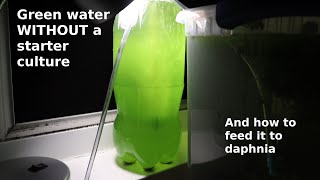 Green Water WITHOUT a Starter Culture  From Scratch  How To [upl. by Pomcroy]