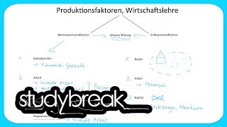 Produktionsfaktoren Dispositive Faktor  Grundbegriffe der Wirtschaftslehre [upl. by Kopaz]