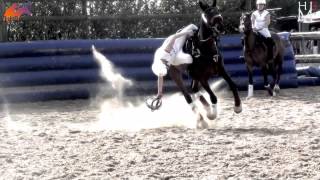 HorseBall  The most impressive equestrian sport [upl. by Zerdna893]