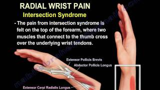 Pain Physiology 1 Types of Pain and Nociception [upl. by Eimorej]