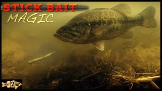 How to Fish Soft Stick Baits for Shallow Bass [upl. by Analaj]