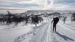 Turskidor i Funäsdalen [upl. by Bergman]