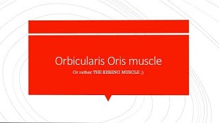 Orbicularis Oris  Simple and Easy [upl. by Valdemar]