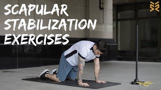 11 Scapular Stabilization Exercises [upl. by Wayolle]