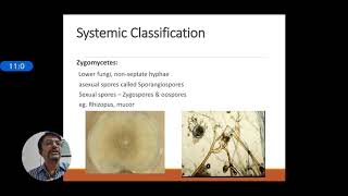 Introduction to Mycology [upl. by Areht395]