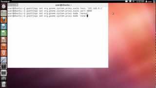 How to Set Proxy in Ubuntu [upl. by Lucias573]