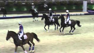 Final FEI WEG Horseball France  Spain 2014 [upl. by Adnilra696]