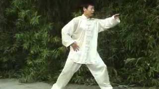 Tai Chi Silk Reeling Taiji [upl. by Lleral]